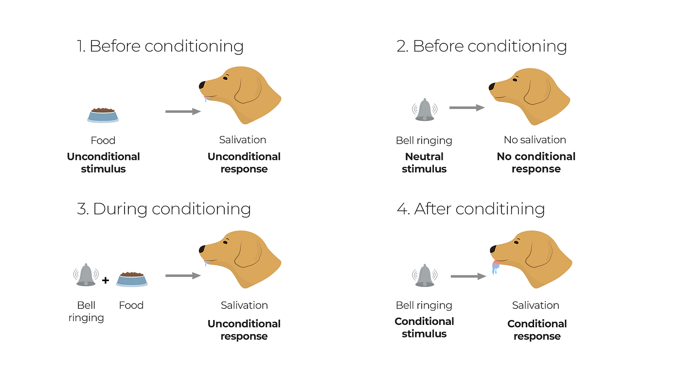 types of learning classical conditioning