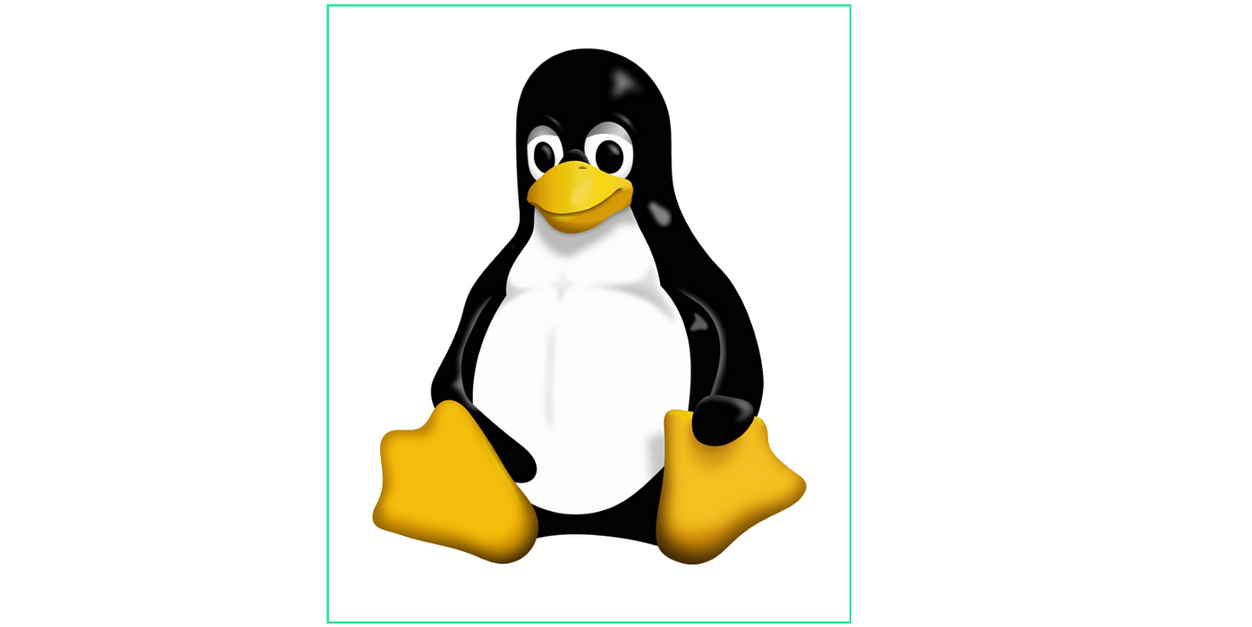 How to install Linux on any computer? | by Joos Korstanje |  DataDrivenInvestor