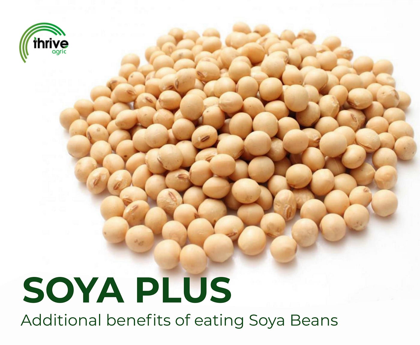 Soya Plus Additional Benefits Of Eating Soya Beans By Thrive Agric Hectare Medium