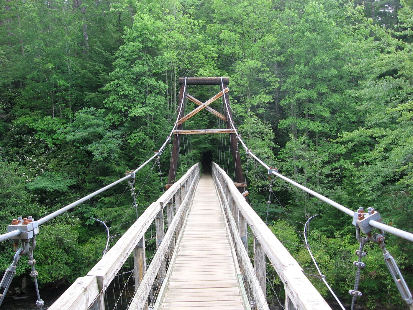Suspension bridge in nature