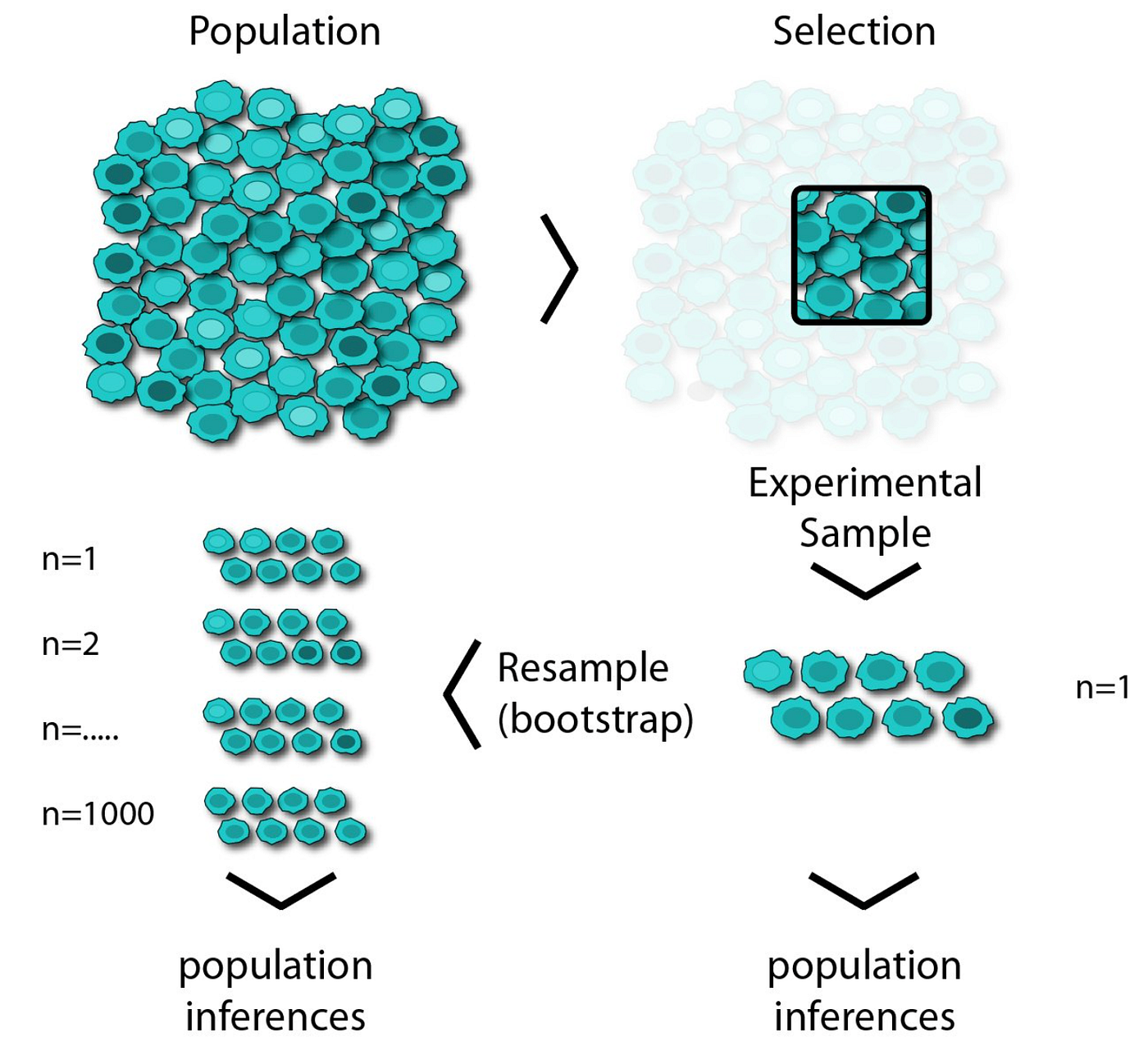 Bootstrap Sampling using Python’s Numpy by Vishal Sharma The