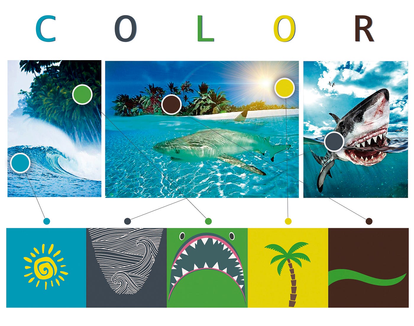 Shark Surfboards — Design process by Kamila S. Designer Processo de