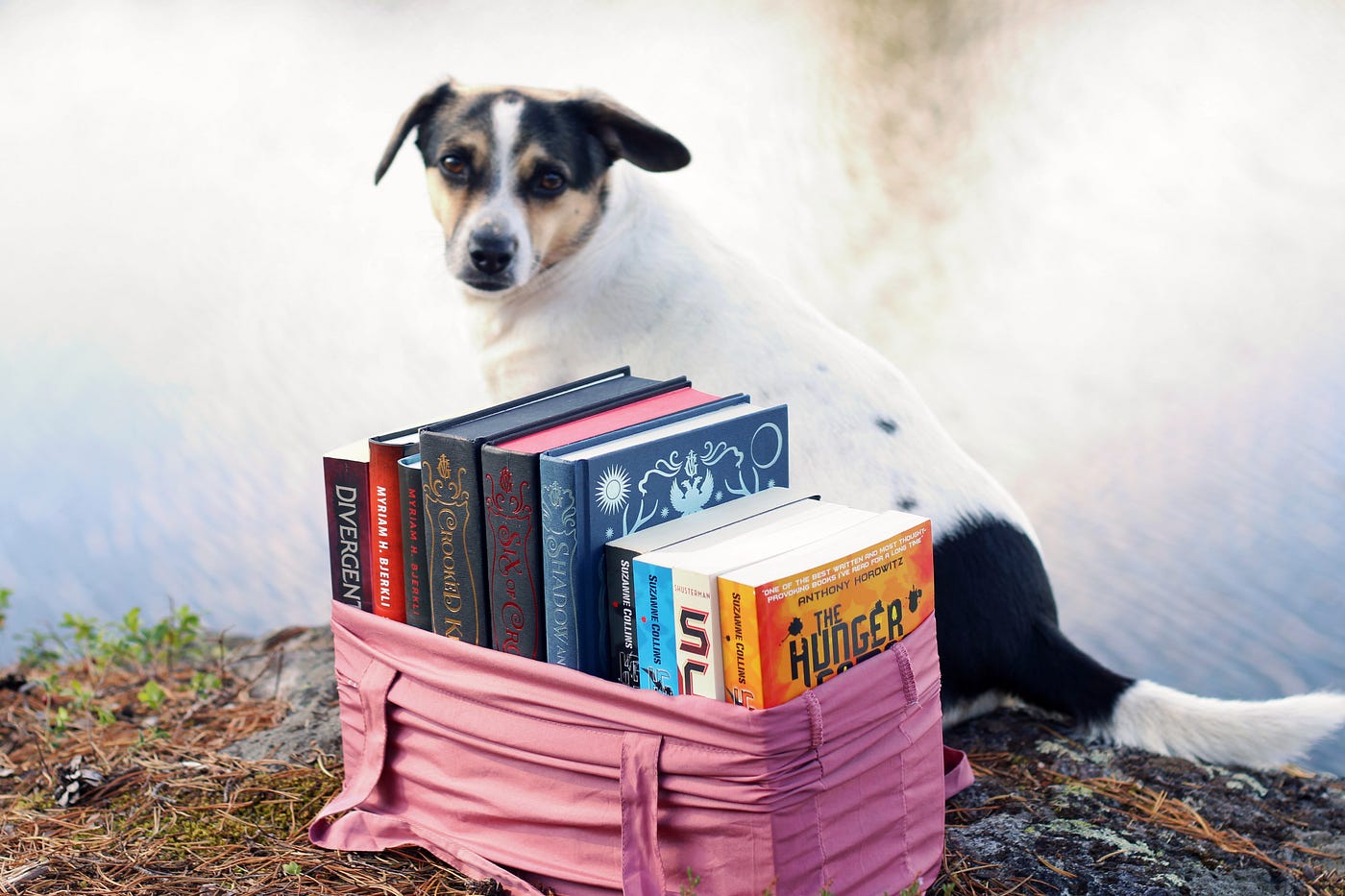 My dog and some of my favorite books.