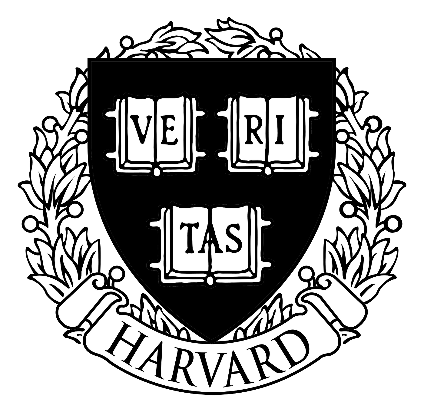 How they got into harvard. Смотреть фото How they got into harvard. Смотреть картинку How they got into harvard. Картинка про How they got into harvard. Фото How they got into harvard