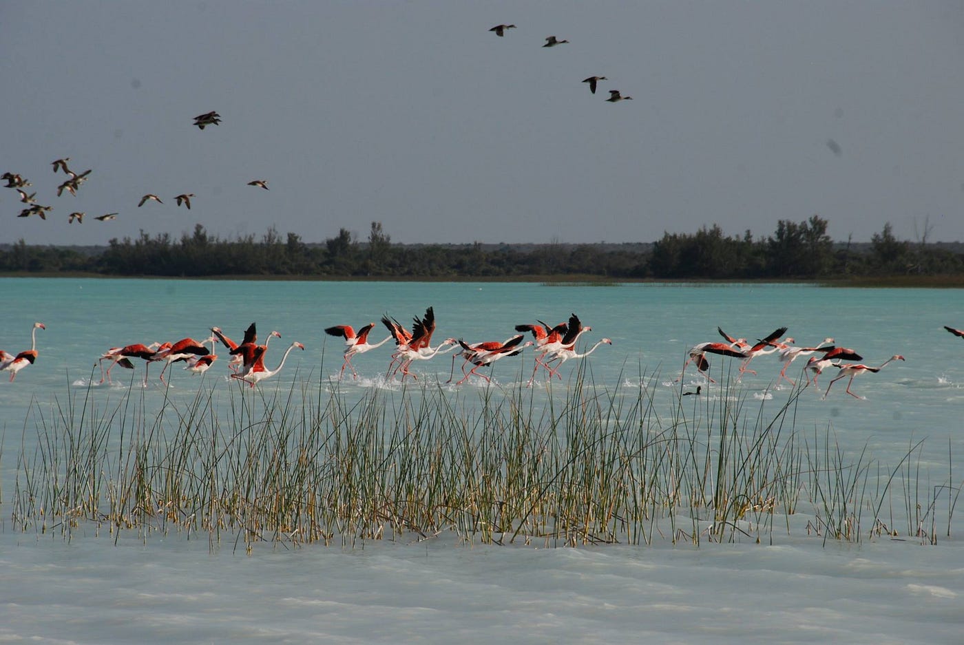 Tsimanampetsotsa National Park. Also called Tsimanampetsotse for the… | by  Bongrie Michel Farahery | WAU Madagascar | Medium