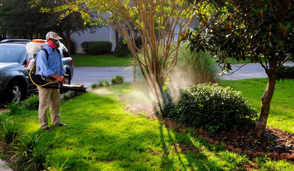 9 Ways to Mosquitoproof Your Yard for Summer by DrDrainage Medium