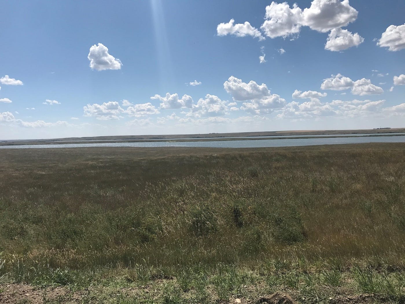 grass leading to lake under blue sky