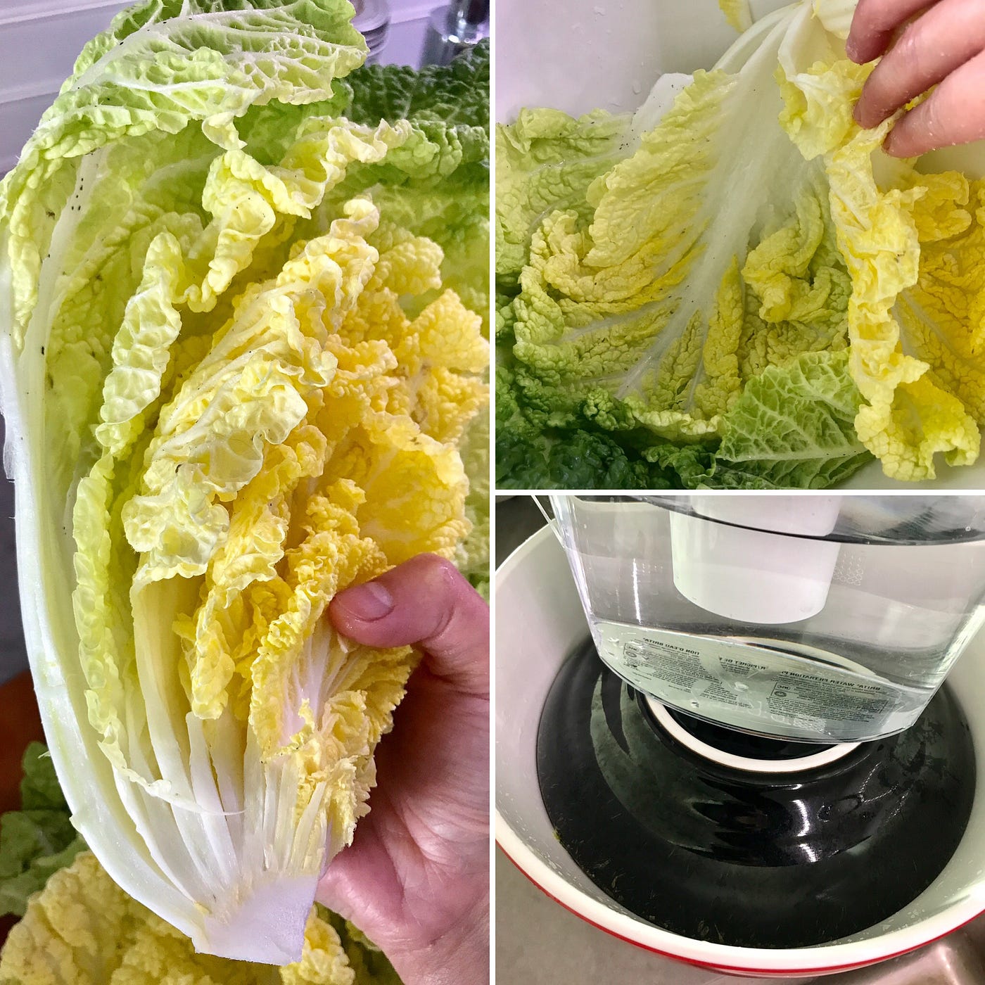 Fermented Cabbage. Fermentation always make good things… by Mei Wong