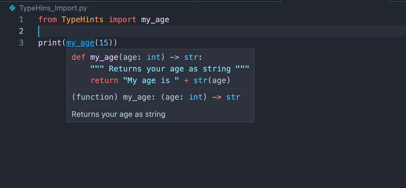 Type Hints in Python: Beginners Guide | by Erdem Isbilen | Geek Culture |  Medium