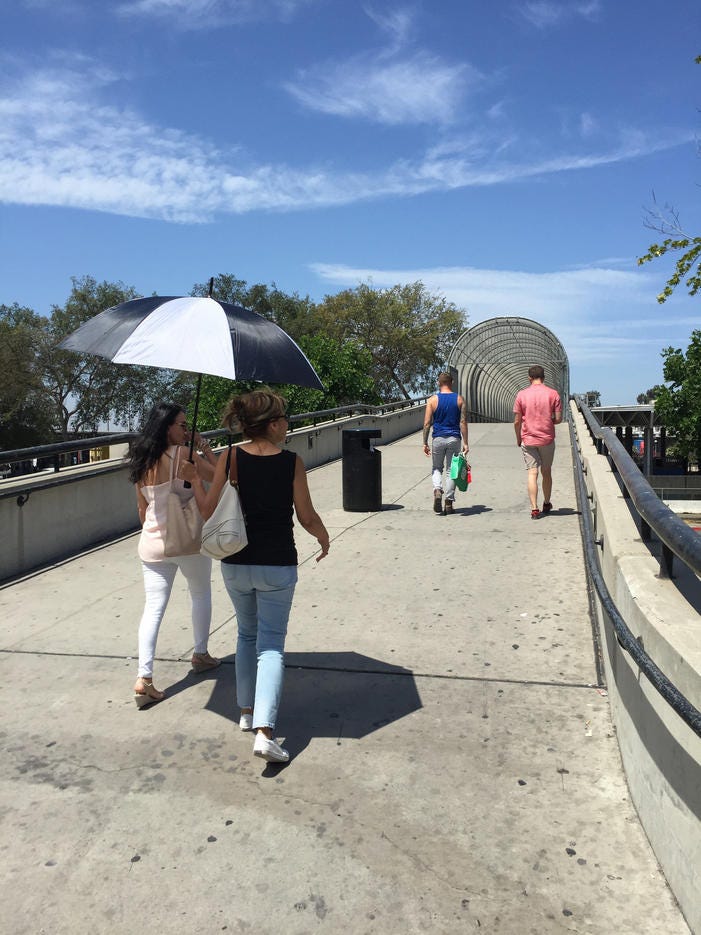 Turista Libre Trumpian Dystopia And Art And A Day Exploring Tijuana Walls Food Trucks Art And Of Course Kitties By Shanghai Brown Medium turista libre trumpian dystopia and