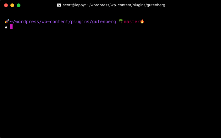 My terminal showing the output of the `npm run dev` command: Webpack is watching the files… (plus the text output from the webpack build.)