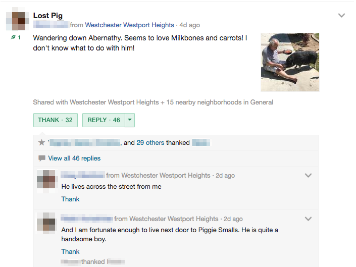 The Strangers Nextdoor The Awl Medium