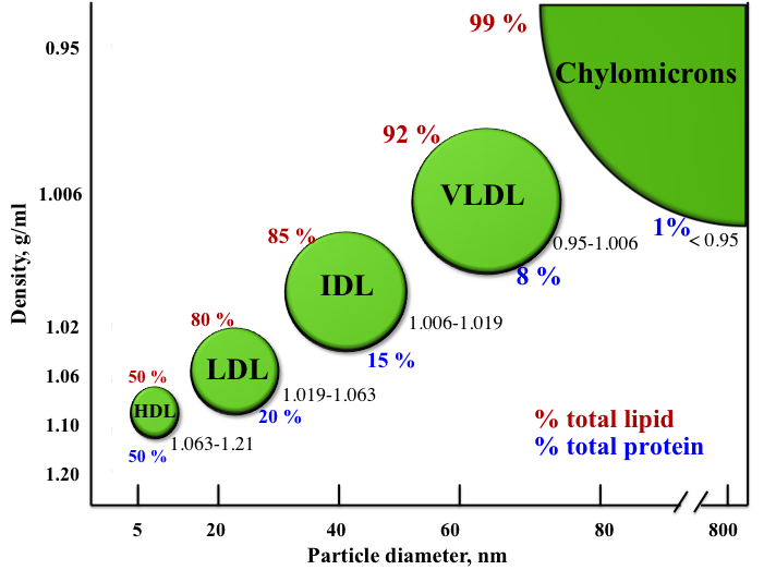 Ldl Particle Size Chart