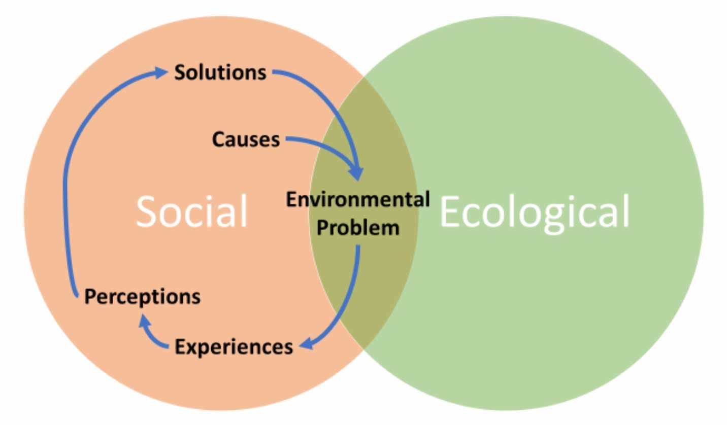 Venn diagram showing a social circle overlapping an ecologicial circle. The overlap is labelled “environmental problems”.