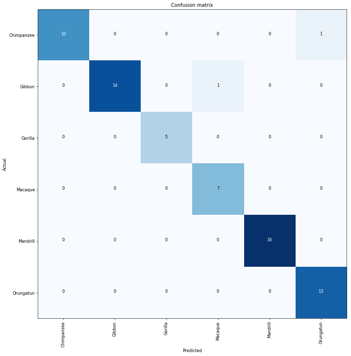 A State Of The Art Image Classifier On Your Dataset In Less Than