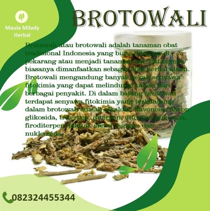 0823 2445 5344 Produsen Bratawali Brotowali Di Ciamis By Supplier Herbal Asli Medium