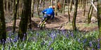 Emerald MTB