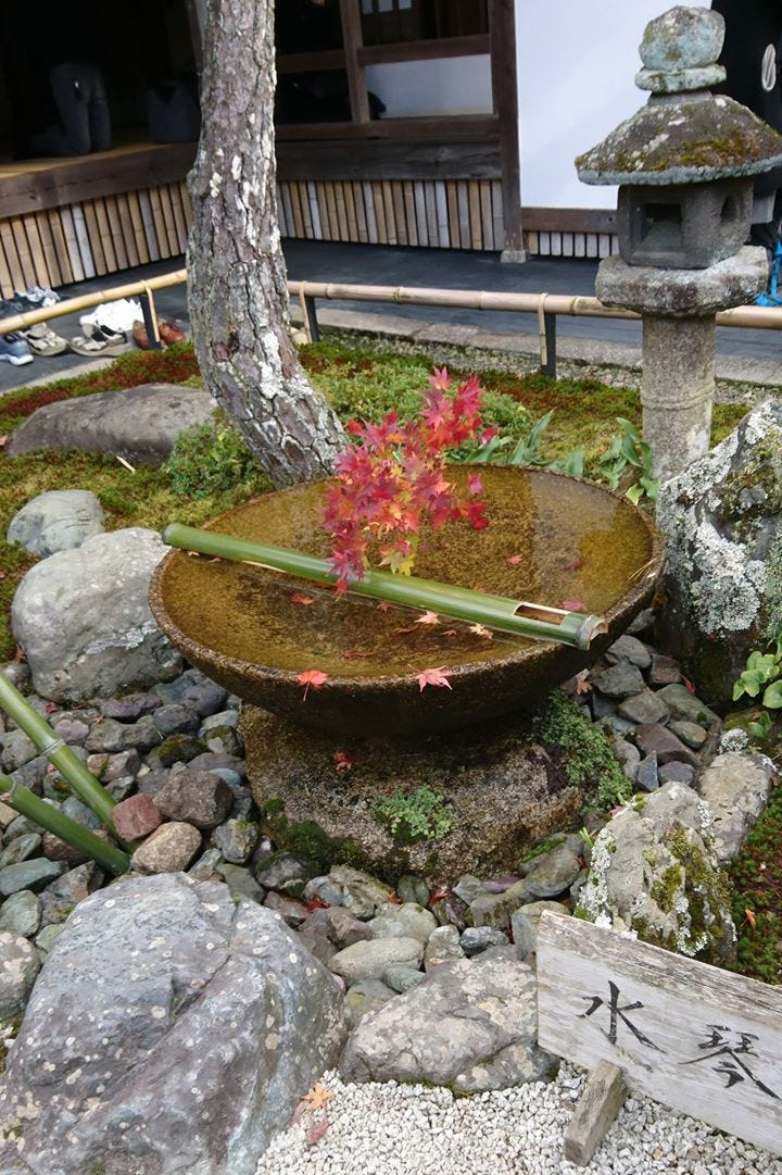 京都賞楓 圓光寺 十牛之庭背側 Pm 12 40 By Ian Medium