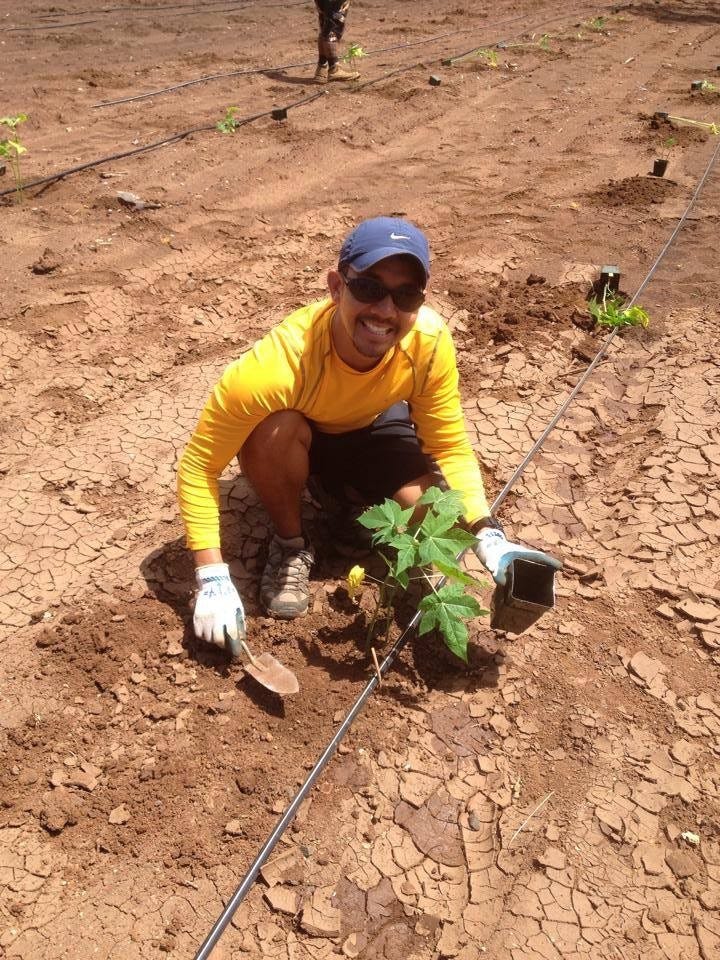 Why The GM Papaya Story Is Personal For This Hawaii Local by GMO