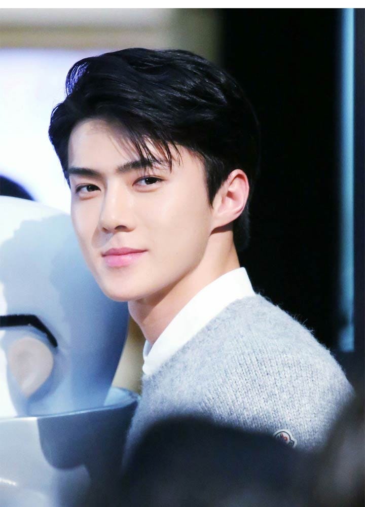 The True Height And Weight Of Each Exo Member By