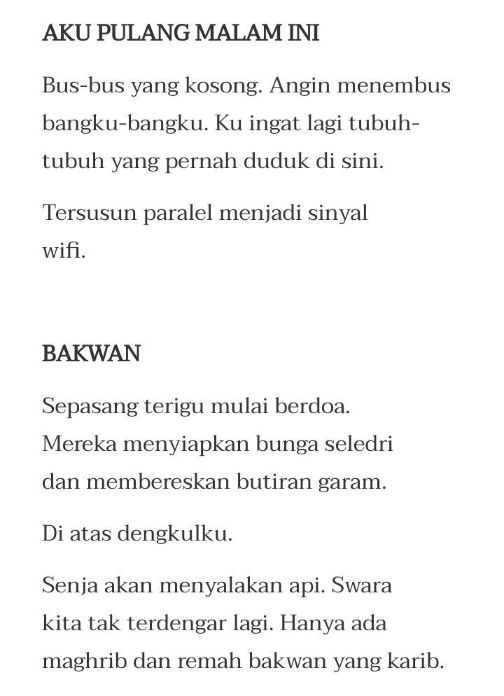 Para Penyair Kita Yang Hidupkan Puisi Hingga Kini Siska Permata
