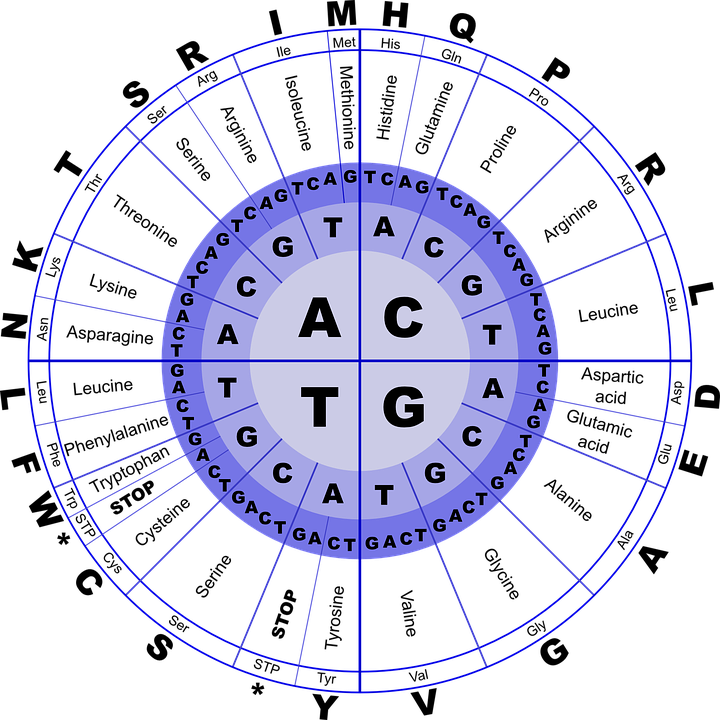 towards data science
