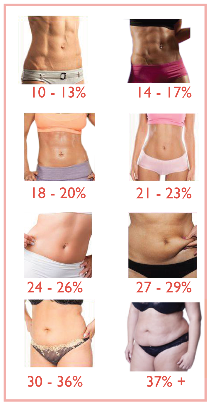 Of Body Fat Percentages, Bmi And Body Composition - Rahul -9334