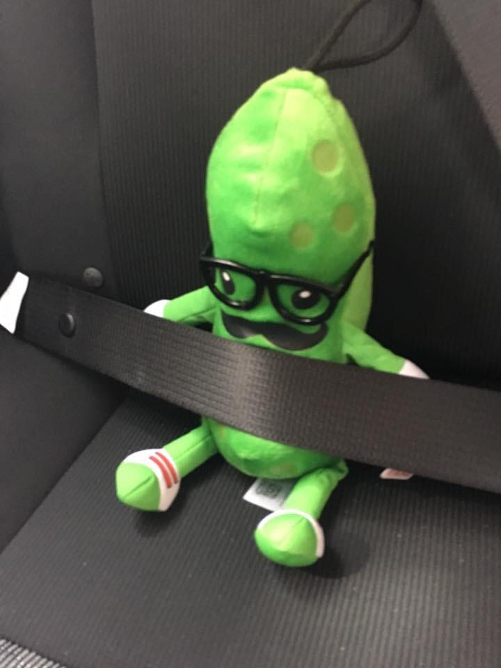 mr pickle stuffed toy