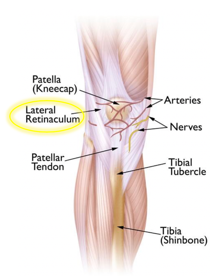 A Professional Dancer’s Take On Patellofemoral Pain