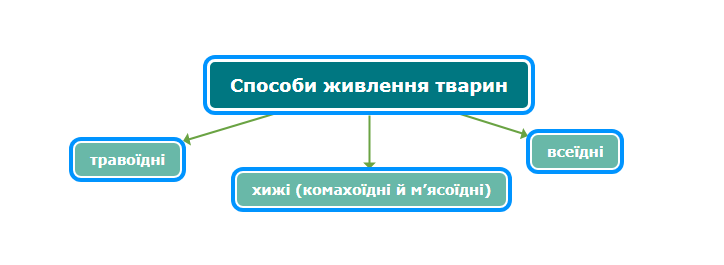Результат пошуку зображень за запитом групи тварин