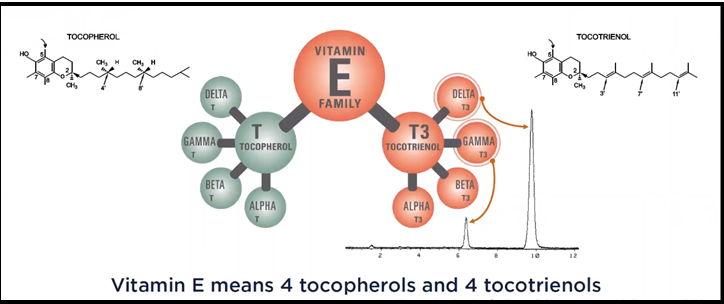 Difference Between Tocotrienols And Tocopherols - 