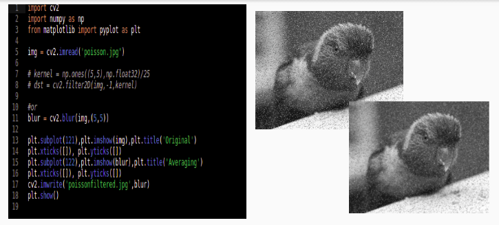 Noise Filtering In Digital Image Processing By Anisha Swain Image Vision Medium