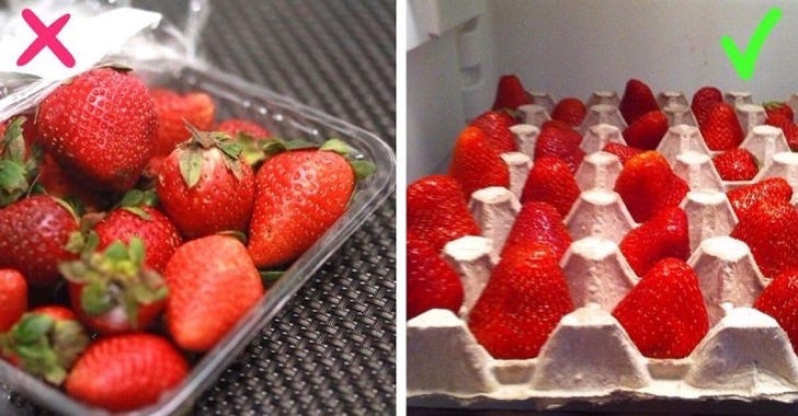 Como Mantener La Verdura Fresca En Una Verduleria