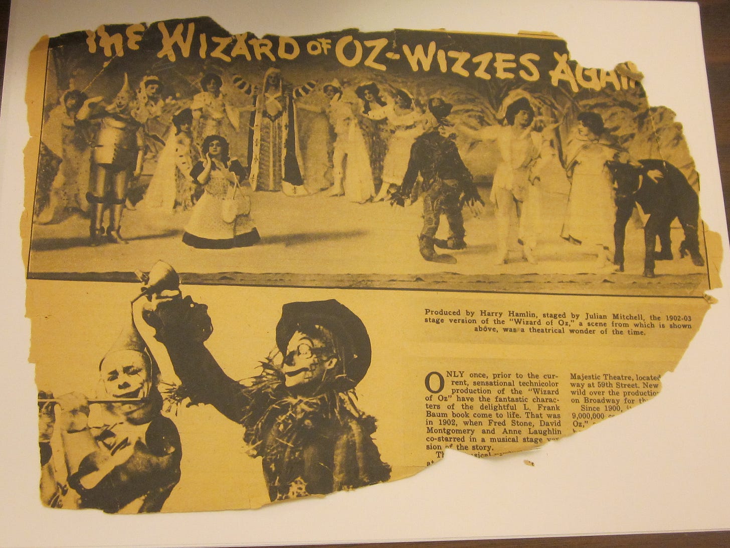 What does the scarecrow represent in the wizard of oz picture