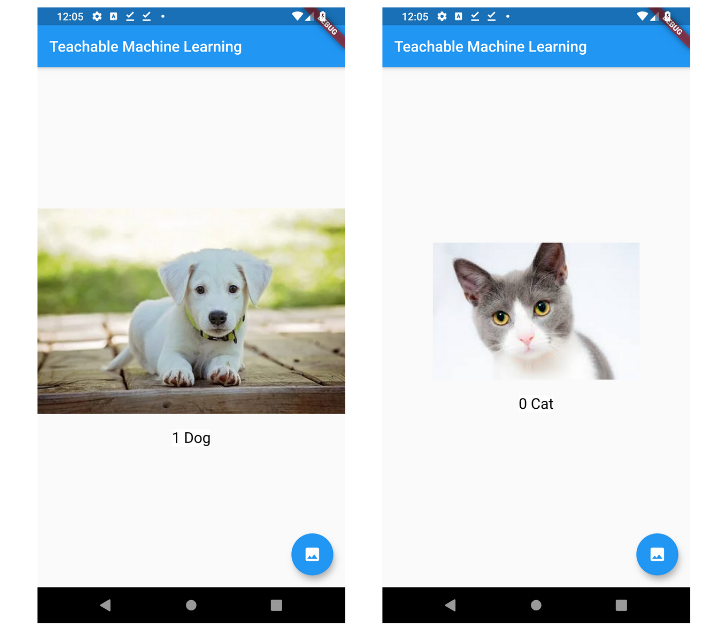 flutter deep learning