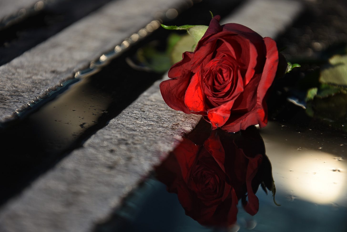 Love, You Capricious Imp. A One-Line Poem | by Sylvia Wohlfarth