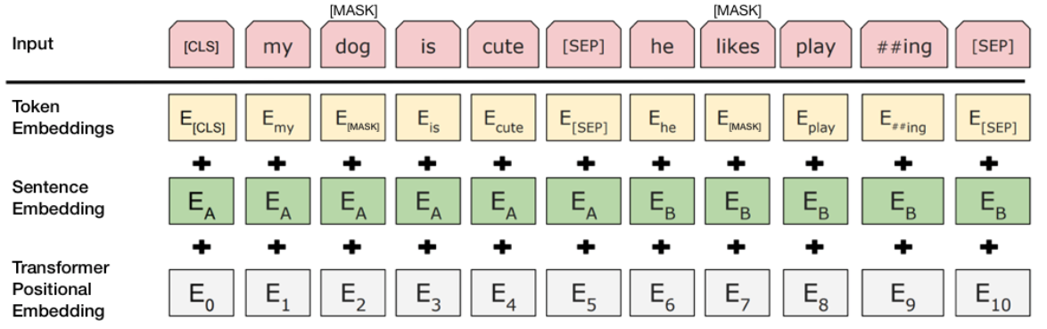 Figure 2: BERT input representation. The input embeddings are the sum of the token embeddings, the segmentation embeddings and the position embeddings.