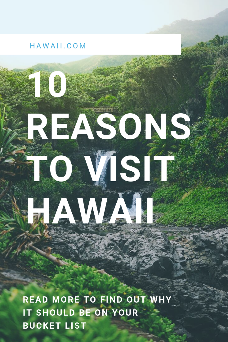 Hawaii Travel Campaign. Project Goal | by Isabella Preda | Medium