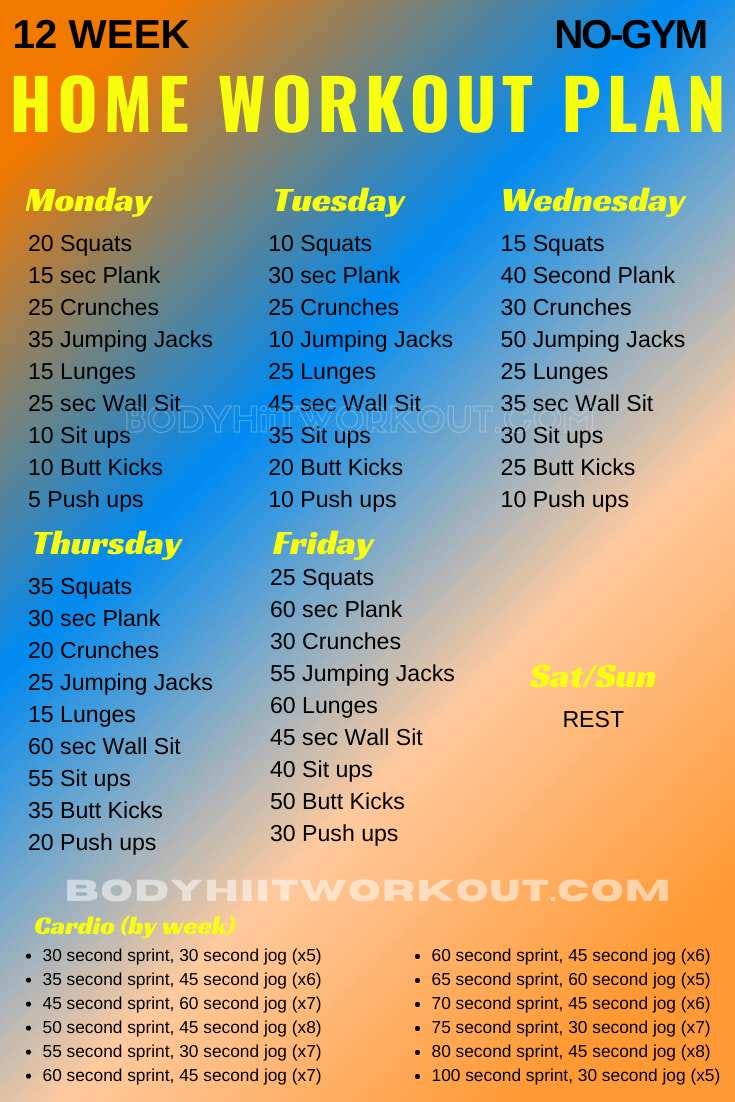 6 Day 12 week no gym workout plan for Gym
