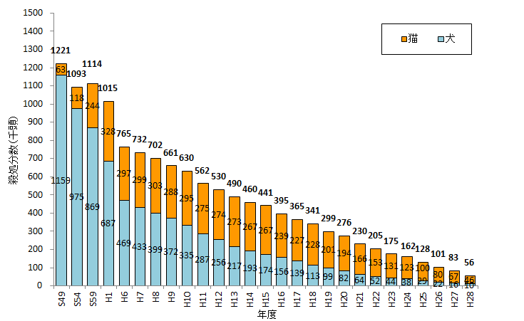保護猫活動の今後. ソーシャルビジネスを活用して by Hiroshi Yoshida 表現は自由だ