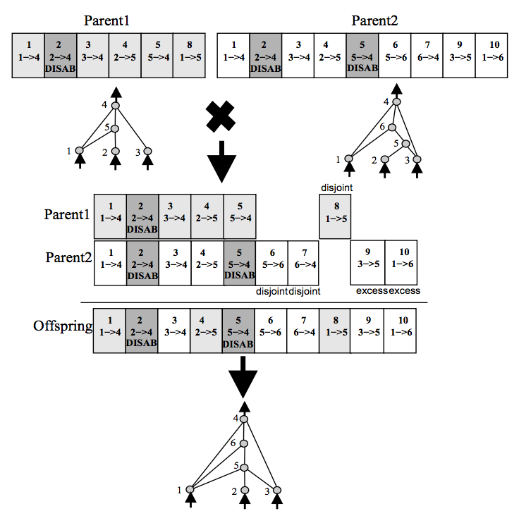 neat machine learning tutorial