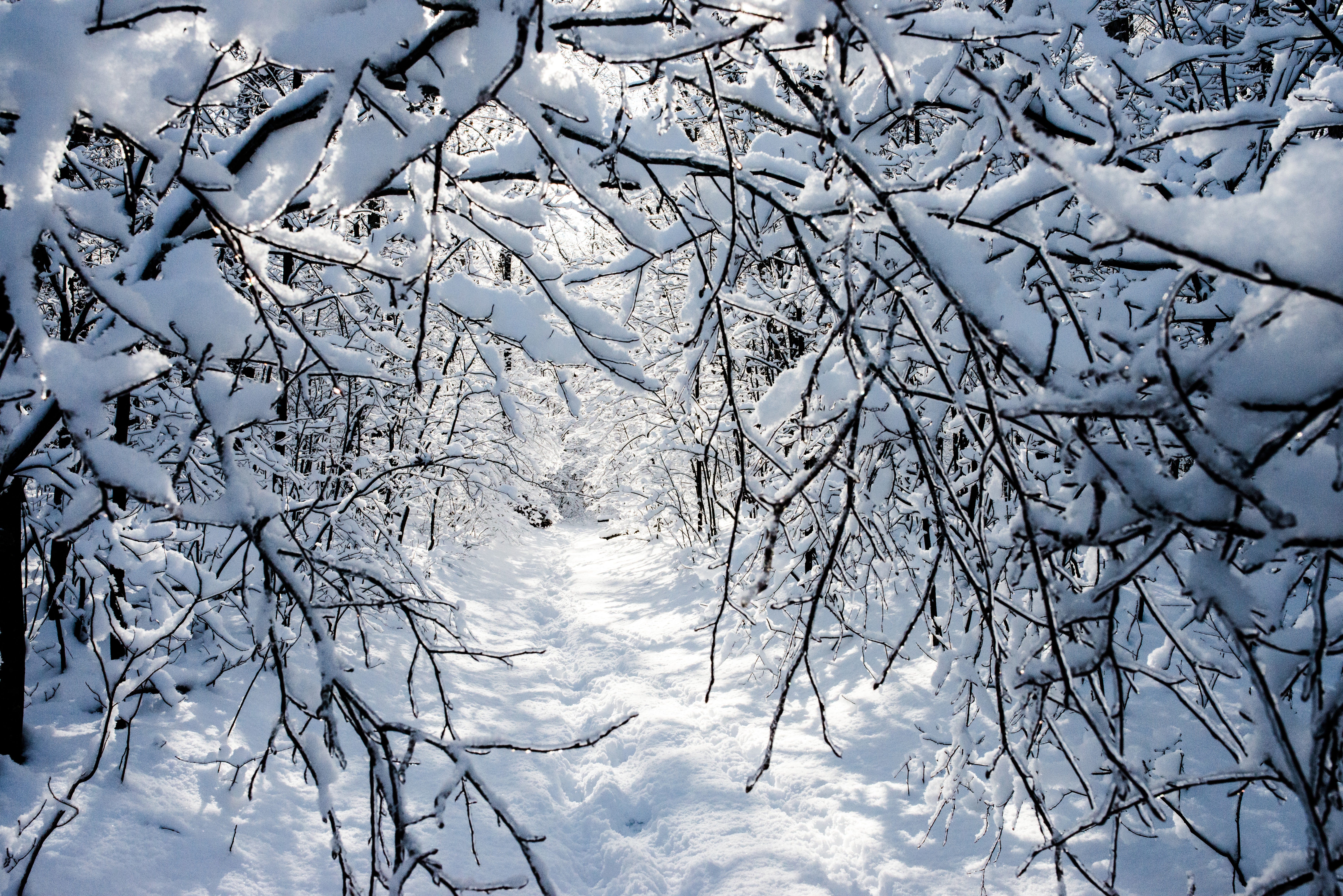 Poems Of My Father 3 The First Snowfall By Russ Roberts Medium