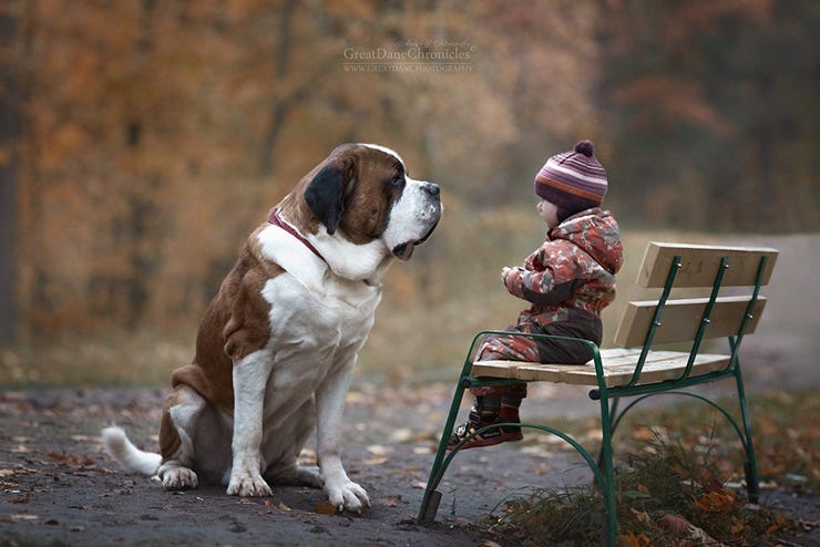 andy seliverstoff big dogs
