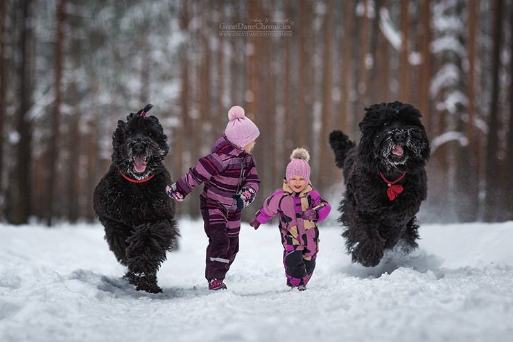 andy seliverstoff big dogs