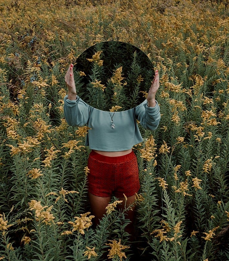 A person standing in a field of golden rod, holding a mirror in front of their face that reflects the golden rod field