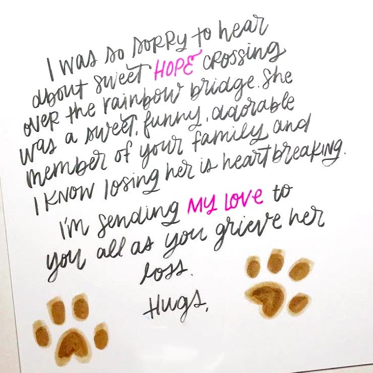 What To Write In A Pet Sympathy Card By Punkpost Punkpost Medium