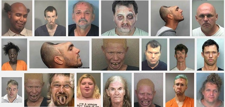 Joe Exotic A Cautionary Tale Of A Murder For Hire Plot Involving