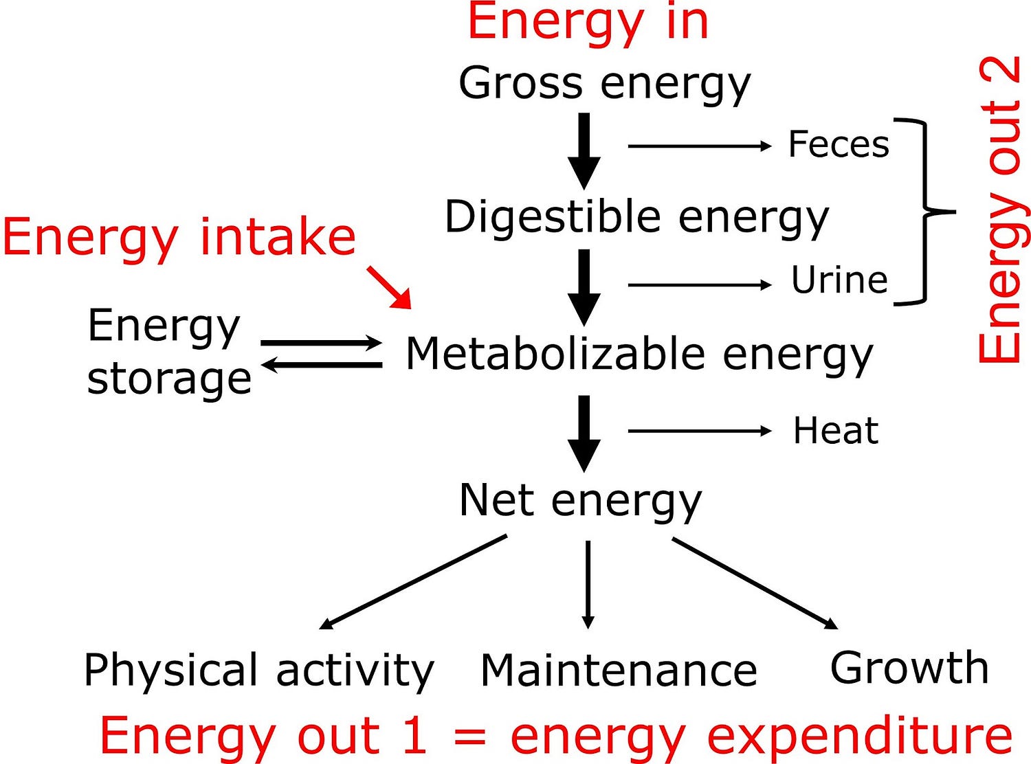 Flow Chart of Energy