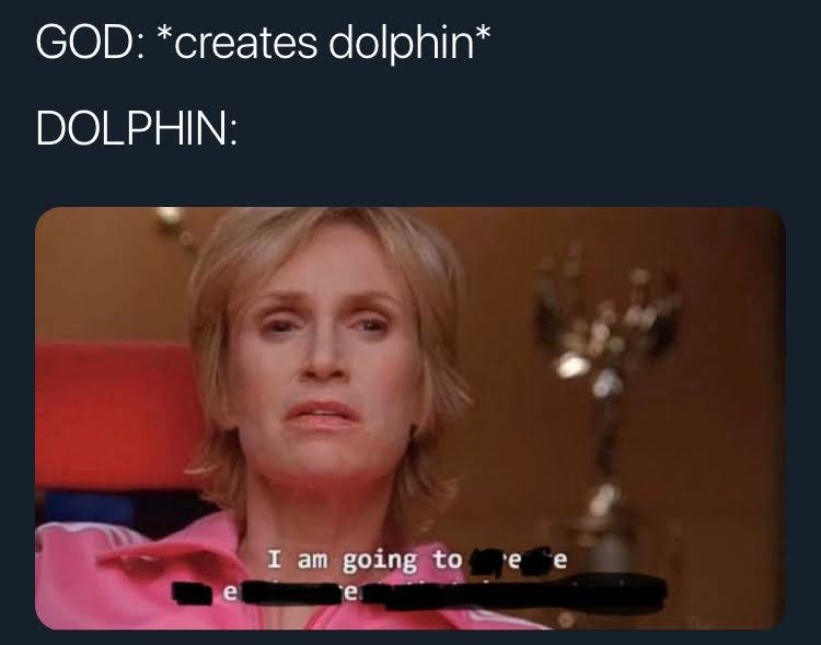12 Memes That Got Me Through By Laura Beuseling Dec Medium 12 Memes That Got Me Through By Laura Beuseling Dec Medium