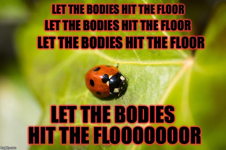 Poignant Nu Metal Lyrics A Tribute Slackjaw Medium